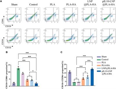 Genetically engineered electrospinning contributes to spinal cord injury repair by regulating the immune microenvironment